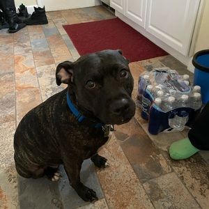 Meet your Posher, Pierre